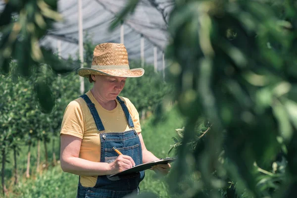 Agricultora Escribiendo Notas Producción Huerto Manzanas Campesina Con Sombrero Paja —  Fotos de Stock