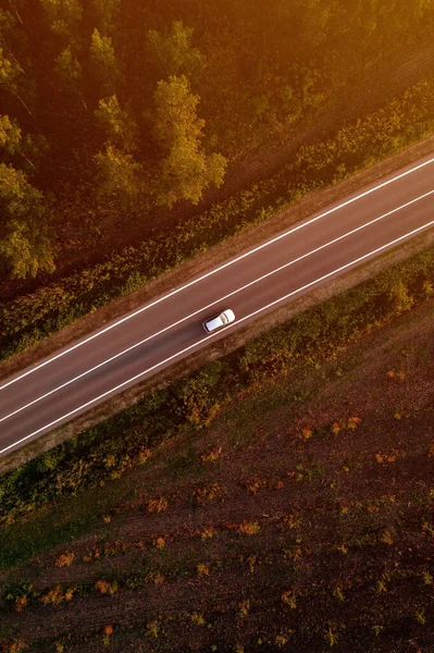 夏の日没に綿の森を介して道路上の単一の白い車 ドローンのPovからの空中ビュー — ストック写真