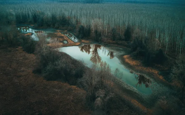 Αεροφωτογραφία Της Λίμνης Ξήρανσης Απομονωμένη Δασώδη Περιοχή Κρύο Πρωινό Του — Φωτογραφία Αρχείου