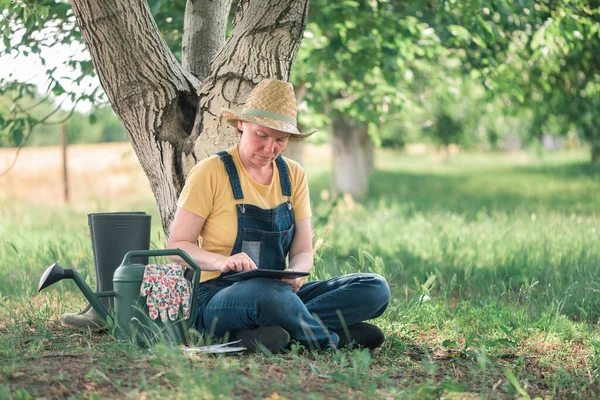 Ngiliz Ceviz Bahçesinde Dijital Tablet Bilgisayar Kullanan Kadın Çiftçi Organik — Stok fotoğraf