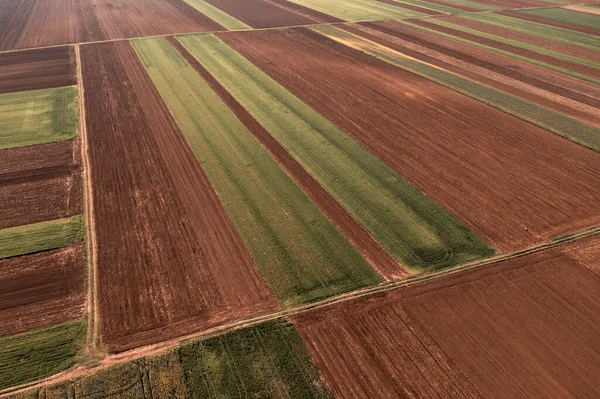 ドローン ポフから見た耕作農地の空中風景 — ストック写真