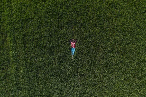 Yeşil Buğday Tarlasında Uzanan Dinlenen Kadın Çiftçinin Havadan Görünüşü Buğday — Stok fotoğraf