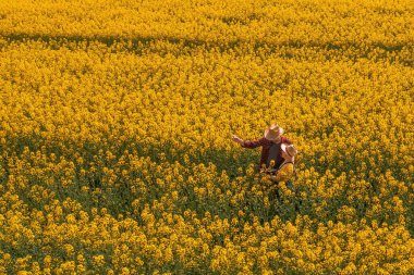 İki çiftçinin hava görüntüsü, erkek ve kadın, çiçek açan kolza tarlasında çalışıyorlar, yukarıdan drone fotoğrafçılığı.