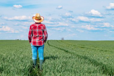 Genç buğday tarlasında dikiz aynasında duran ve ufka bakan seçici odaklı dişi çiftçi.
