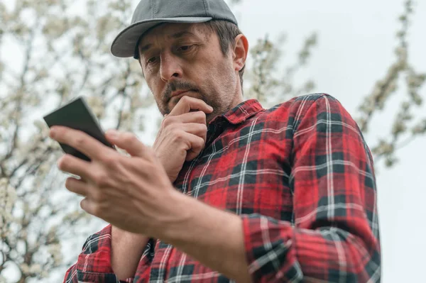 Boer Met Behulp Van Smart Phone App Bloeiende Kersenboomgaard Lage — Stockfoto