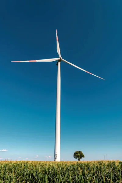 Grande Avec Turbine Petit Arbre Sur Terrain Énergies Renouvelables Ressources — Photo