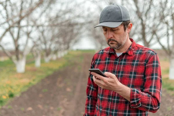 Agricultor Usando Aplicación Teléfono Inteligente Móvil Huerto Frutas Nuez Agricultura —  Fotos de Stock