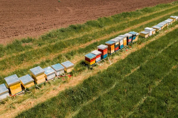 Beehive Boxes Grassy Meadow Aerial View Drone Footage High Angle — Stock Photo, Image