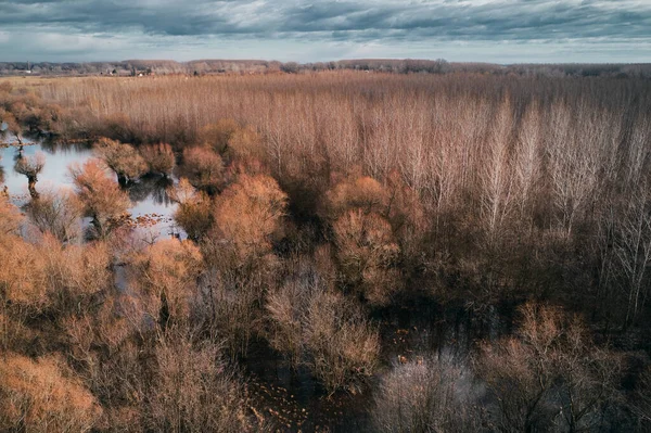 Αεροφωτογραφία Του Ποταμού Tisza Tisa Oxbow Από Drone Pov Βαλτώδες — Φωτογραφία Αρχείου