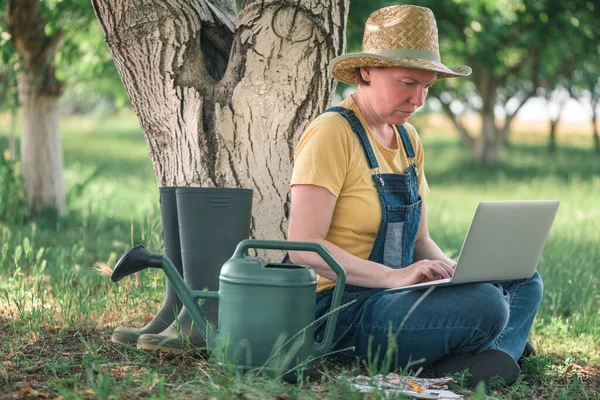 Rolniczka Korzystająca Laptopa Angielskim Sadzie Orzechów Włoskich Innowacyjna Nowoczesna Technologia — Zdjęcie stockowe