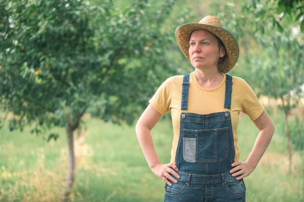 Ritratto Contadina Posa Nel Frutteto Prugne Lavoratrice Agricola Donna Con — Foto Stock