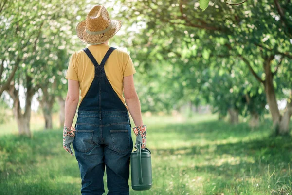 Agricoltrice Con Annaffiatoio Frutteto Biologico Concetto Produzione Alimentare Coltivata Localmente — Foto Stock