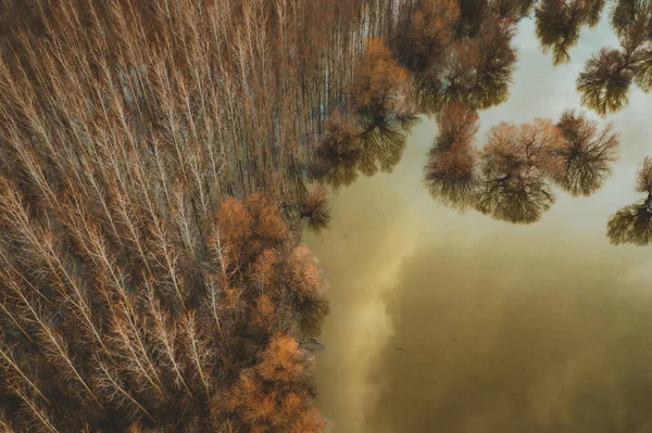 Bosque Inundado Drones Pov Vista Ángulo Alto Fotografía Aérea Árboles —  Fotos de Stock