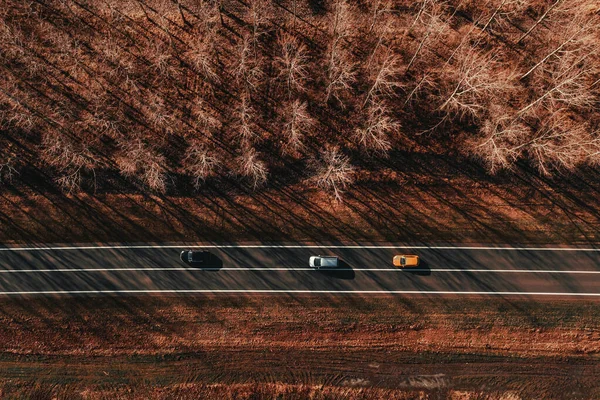 上から森を通って道路上の3台の車 ドローンのポルノ空中写真 — ストック写真