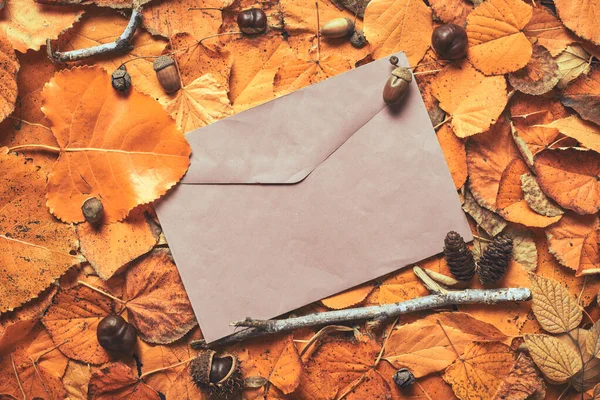 Layout Autunnale Creativo Con Post Busta Foglie Secche Vista Dall — Foto Stock