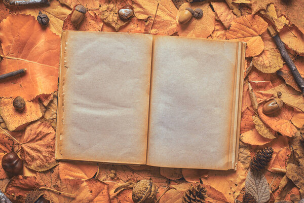 Blank pages of an old open book on creative autumn background made of dry leaves, flat lay top view