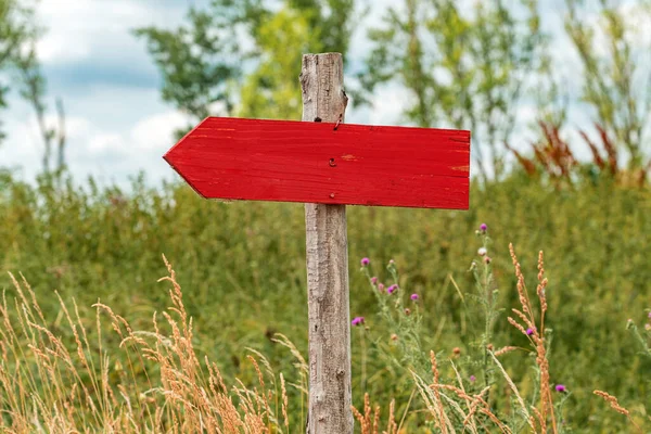 左を指すコピースペースとして空白の看板と田舎の牧草地で手作りの木製の方向記号 選択的フォーカス — ストック写真