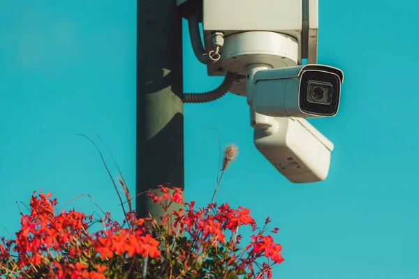 いくつかの花で飾られた町の広場のポストでCctvのセキュリティカメラ 選択的な焦点 — ストック写真
