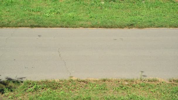 Viajando al trabajo en bicicleta. Hombre montar en bicicleta en un carril bici marcado . — Vídeos de Stock