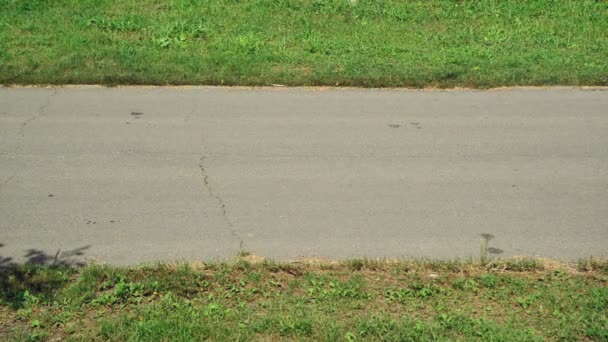 Pendeln zur Arbeit mit dem Fahrrad. Mann fährt mit Fahrrad auf markiertem Radweg. — Stockvideo