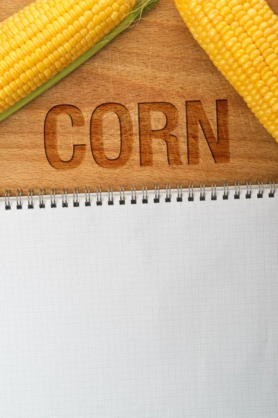 Corn Maize Cobs and recipe Book — Stock Photo, Image