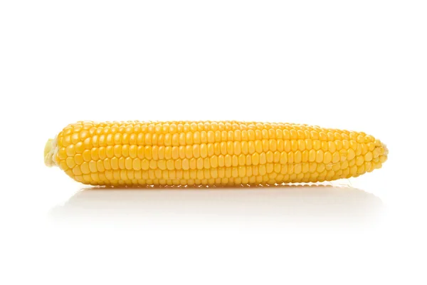 Long Corn Cob on white background — Stock Photo, Image