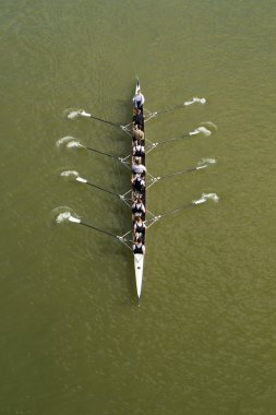 Sekiz adam Tuna Nehri üzerinde kürek