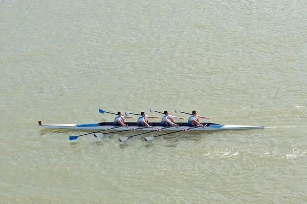 Four men rowing on Danube river