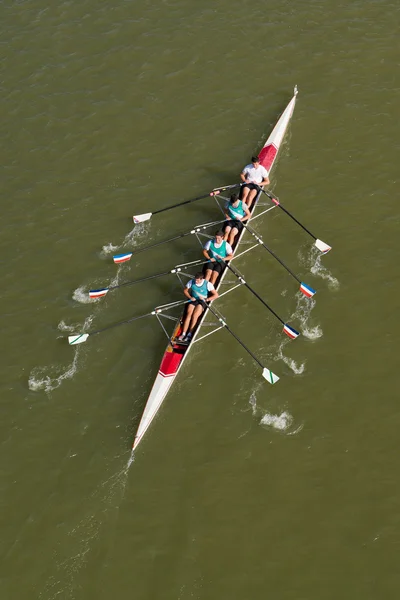 Quatre hommes ramant sur le Danube — Photo