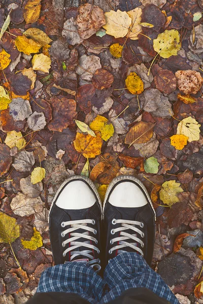 Stehen in trockenen Herbstblättern — Stockfoto