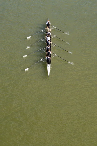 Eight men rowing on Danube river — Stock Photo, Image