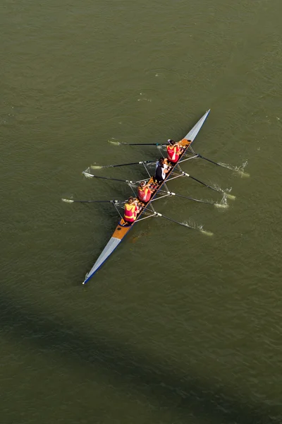 Four men rowing on Danube river — Stock Photo, Image