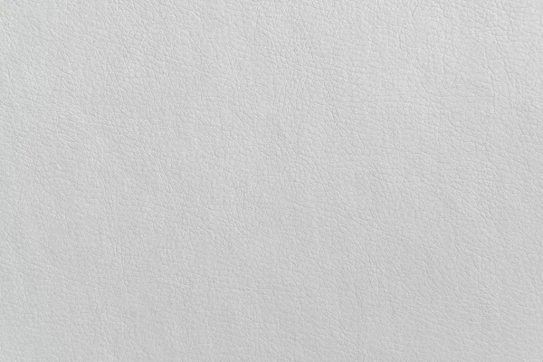 Beyaz deri dokusu — Stok fotoğraf