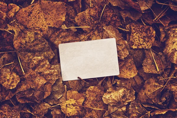 Tarjeta de visita en blanco vieja en hojas de otoño —  Fotos de Stock