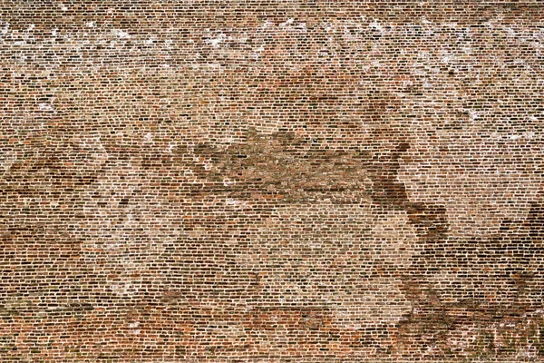 Huge brick wall — Stock Photo, Image