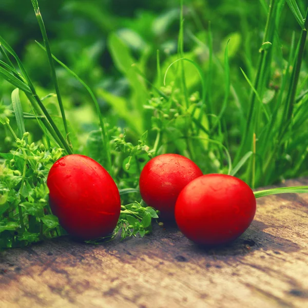 Œufs de Pâques rouges dans l'herbe verte — Photo