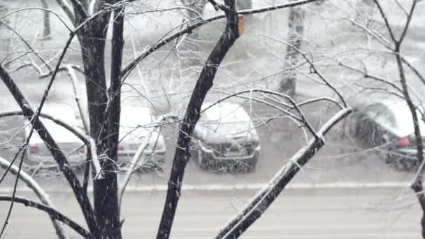 Geparkte Fahrzeuge während des Schneefalls auf der Straße — Stockvideo