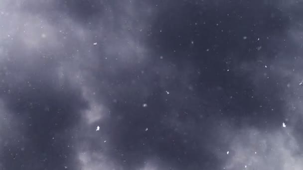 Turbulent snowfall from dark gray clouds — Stock Video