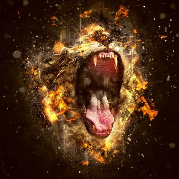 Conceptual Lion Portrait — Stock Photo, Image