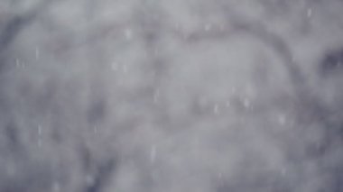 Kış sezon hava arka plan olarak gelen kar yağışı