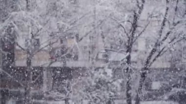 Çalkantılı kar yağışı ayrıntılı olarak kış sezon hava arka plan ağaç parkta.