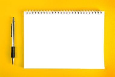 Tükenmez kalem ve boş not kağıdı