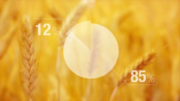 Animiertes Diagramm für den Weizenertrag in landwirtschaftlichen Anbauflächen. — Stockvideo