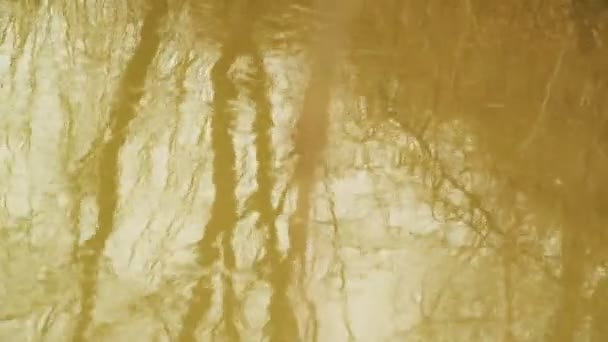 Surface de l'eau qui coule de la rivière Jaune avec réflexion des arbres — Video