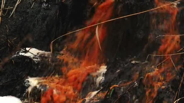 Pollution de l'eau des rivières et contamination par les eaux usées d'usine de l'industrie chimique — Video