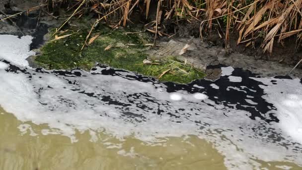 River Water Pollution And Contamination from Chemical Industry Factory Sewage — Stock Video