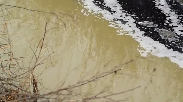 Floden bevattnar förorening och kontaminering från kemisk industri fabrik avloppsvatten — Stockvideo