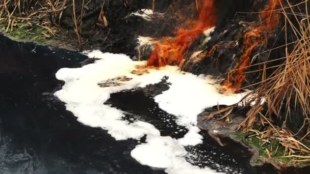 Contaminación del agua del río y contaminación de las aguas residuales de la fábrica de la industria química — Vídeos de Stock
