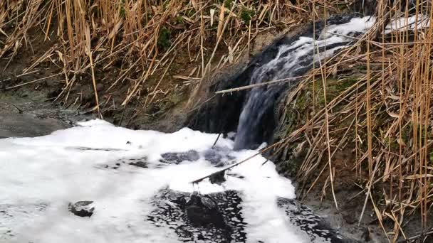 River Water Pollution And Contamination from Chemical Industry Factory Sewage — Stock Video