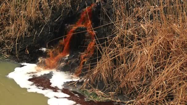 Zanieczyszczenie wód rzeki i zanieczyszczenia ścieków fabrycznych przemysłu chemicznego — Wideo stockowe